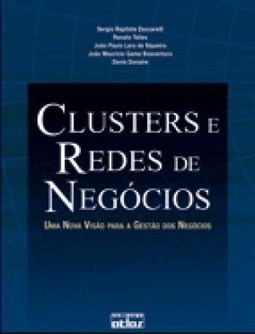 Clusters e Redes de Negócios: uma Nova Visão para Gestão dos Negócios
