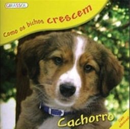 Cachorro