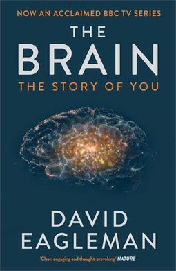 THE BRAIN: THE STORY OF YOU