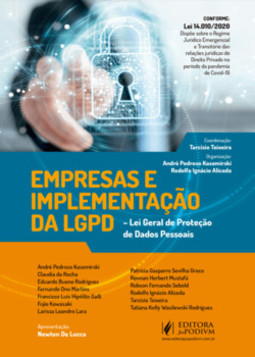 Empresas e a implementação da Lei Geral de Proteção de Dados