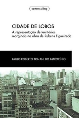 Cidade de lobos: a representacao de territorios marginais na obra de Rubens Figueiredo