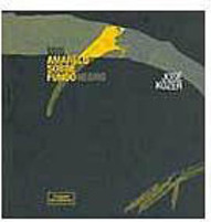 Íbis Amarelo Sobre Fundo Negro