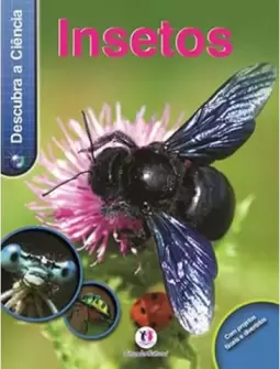Insetos