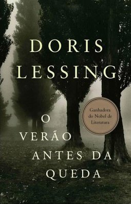 O VERÃO APOS A QUEDA
