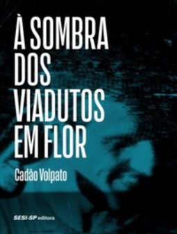 À sombra dos viadutos em flor