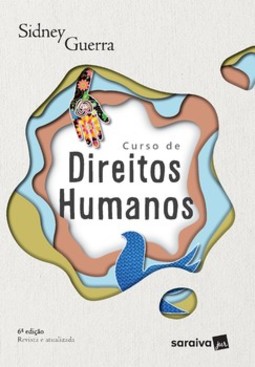 Curso de direitos humanos