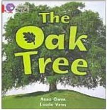 The Oak Tree - Importado
