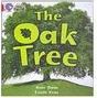 The Oak Tree - Importado