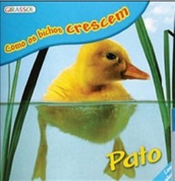 Pato