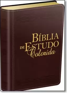 Biblia De Estudo Colorida   Texto Nvi (Vinho)
