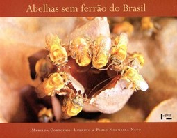 Abelhas sem ferrão do Brasil