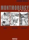 Montmorency a Pique : Doutor, Aristocrata ou Assassino?