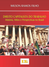Direito capitalista do trabalho: História, mitos e perspectivas no Brasil