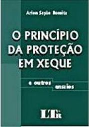 Os Princípios da Proteção em Xeque