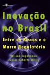 Inovação no Brasil: entre os riscos e o marco regulatório