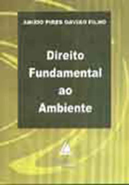 Direito fundamental ao ambiente