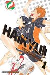 Haikyu!!, Vol. 1: Volume 1