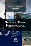 Tribunal penal internacional: análise jurisprudencial