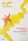 Fundamentos e Teoria Organizacional