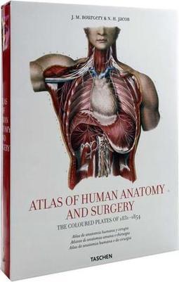 Atlas Anatômico