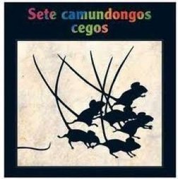 SETE CAMUNDONGOS CEGOS