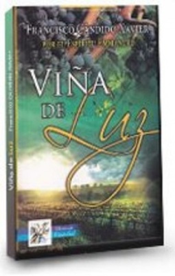 Viña de Luz