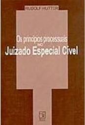 Os Princípios Processuais no Juizado Especial Cível