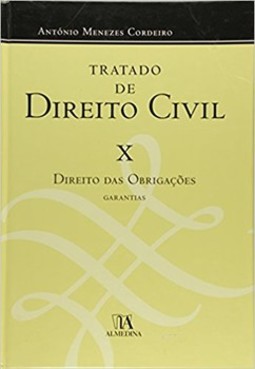 Tratado de direito civil: direito das obrigações - Garantias