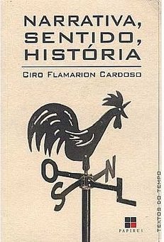 Narrativa, Sentido, História
