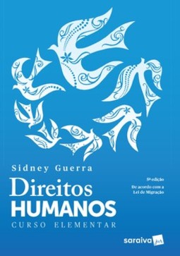 Direitos humanos: curso elementar