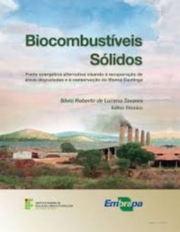 Biocombustíveis Sólidos