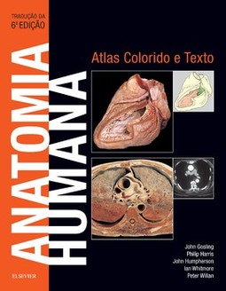 Anatomia humana