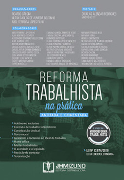 Reforma trabalhista na prática: anotada e comentada