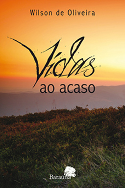 Vidas ao acaso