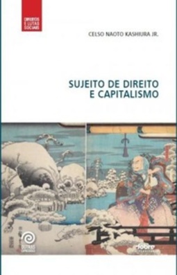 Sujeito de direito e capitalismo (Direitos e lutas sociais)