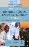 Empresas de distribuição de energia elétrica no Brasil: temas relevantes para a gestão