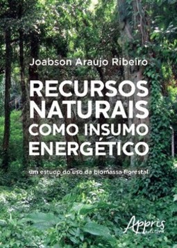 Recursos naturais como insumo energético: um estudo do uso da biomassa florestal