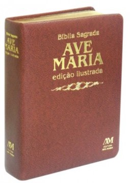 Bíblia sagrada: ilustrada - Média - Marrom