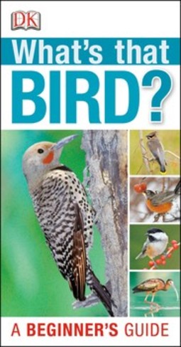 What's that Bird?: A Beginner's Guide