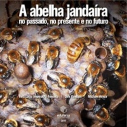 A abelha jandaíra