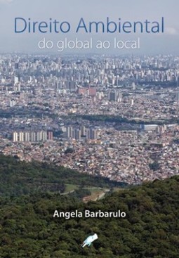 Direito ambiental: do global ao local