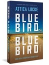 Bluebird, Bluebird: amor, justiça e tensão racial no coração do Texas