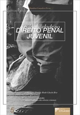 A culpabilidade no direito penal juvenil