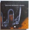 Antonio Henrique Amaral: Obra em Processo