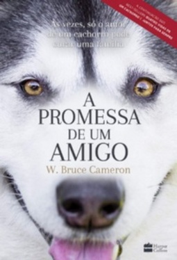 A Promessa de um Amigo