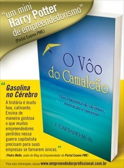 O Voo Do Camaleao