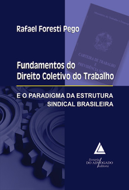 Fundamentos do direito coletivo do trabalho e o paradigma da estrutura sindical brasileira