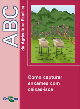 Como capturar enxames com caixas-isca