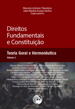 Direitos fundamentais e constituição: teoria geral e hermenêutica