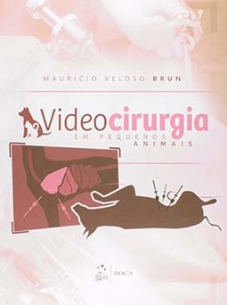 Videocirurgia em pequenos animais
